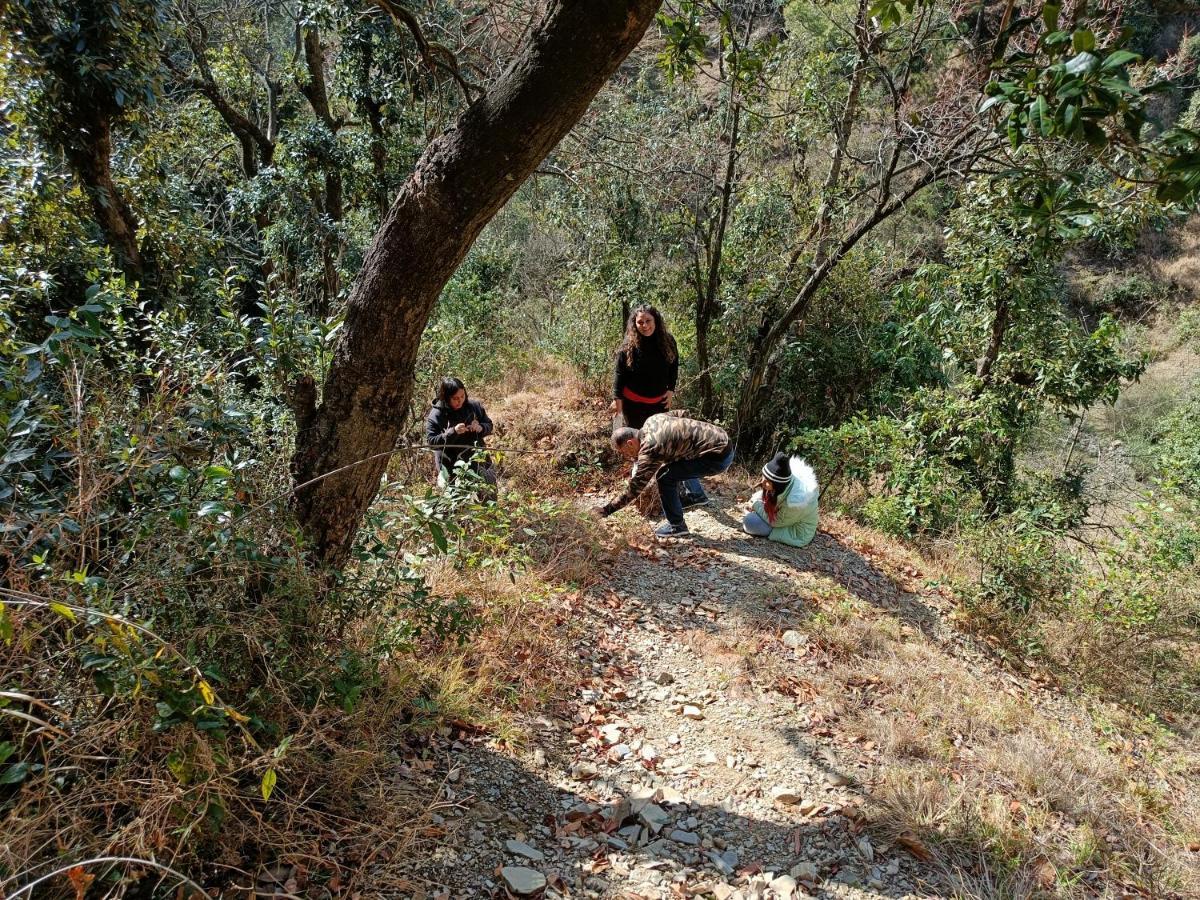 Skywood Resort Shoghi Shogi Kültér fotó
