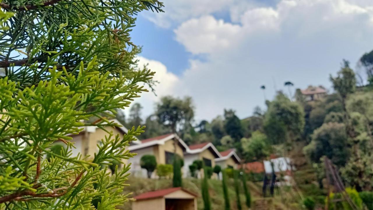 Skywood Resort Shoghi Shogi Kültér fotó